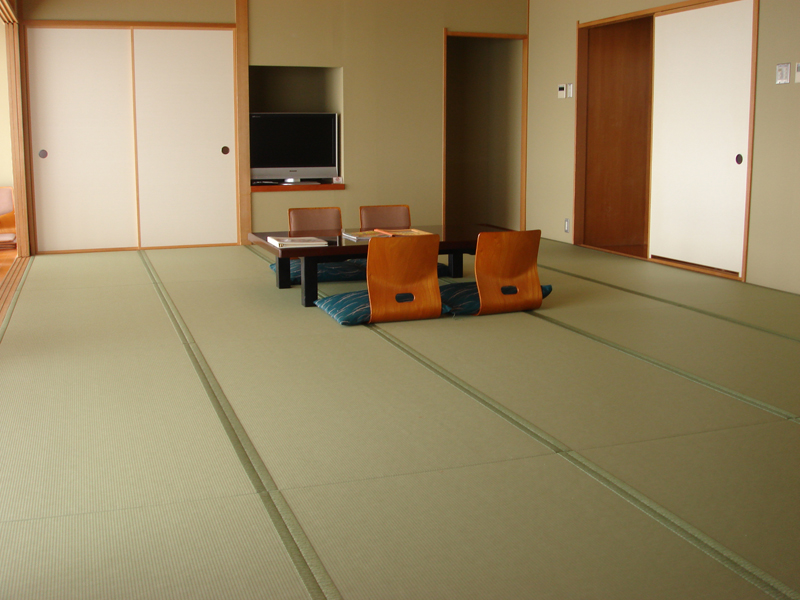 使用MIGUSA 目積-茶綠